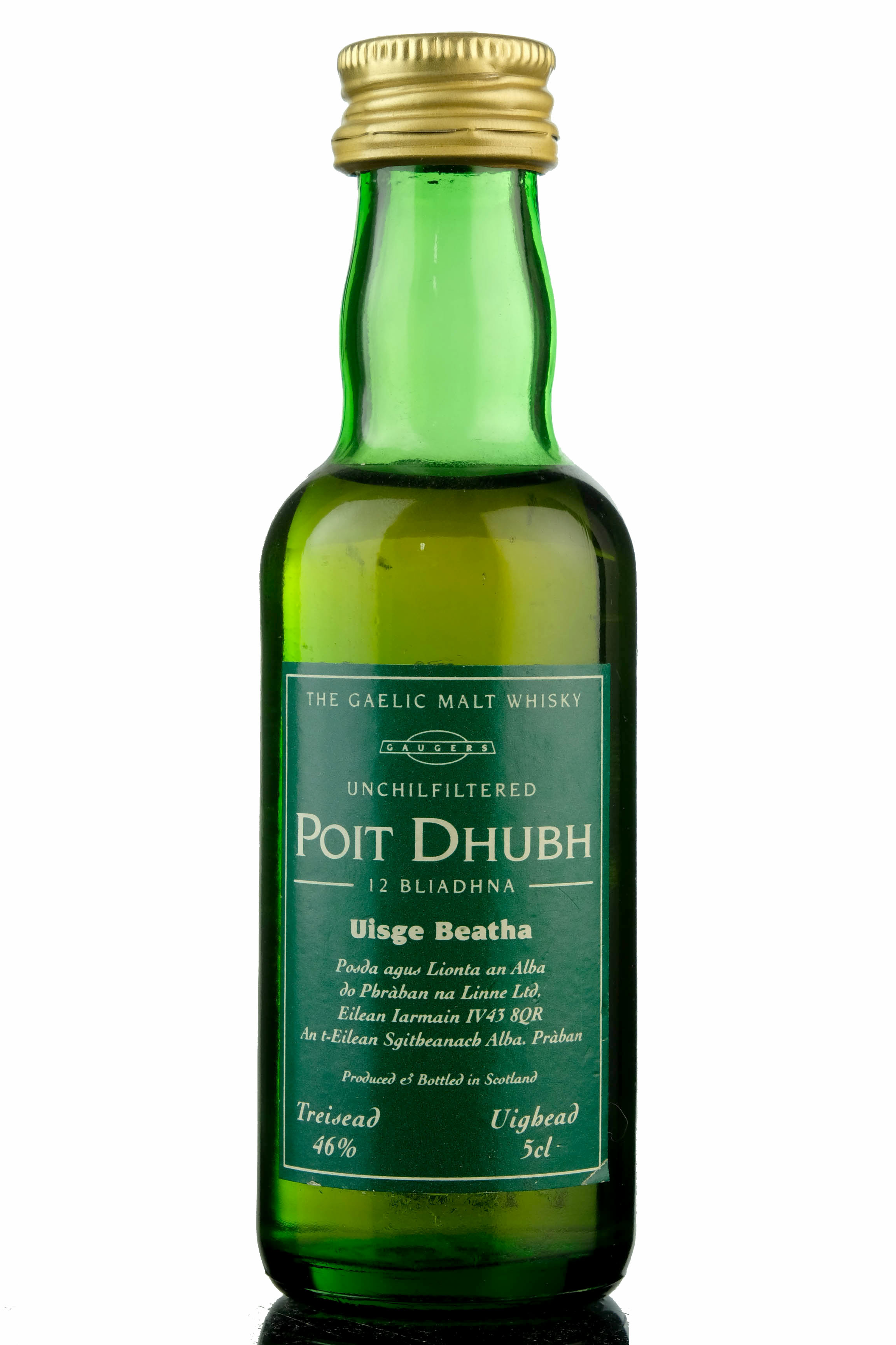Poit Dhubh 12 Year Old Miniature