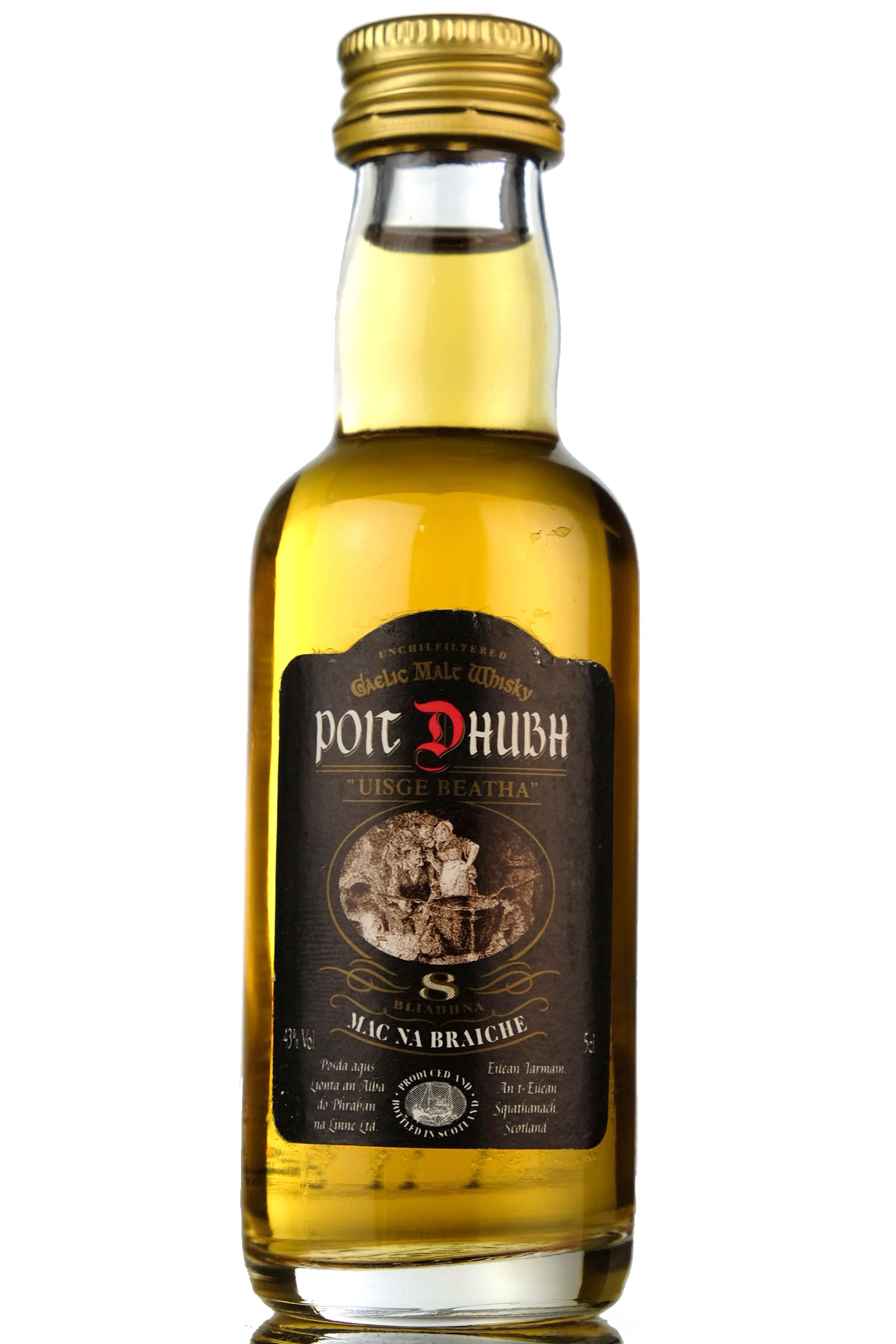 Poit Dhubh 8 Year Old Miniature