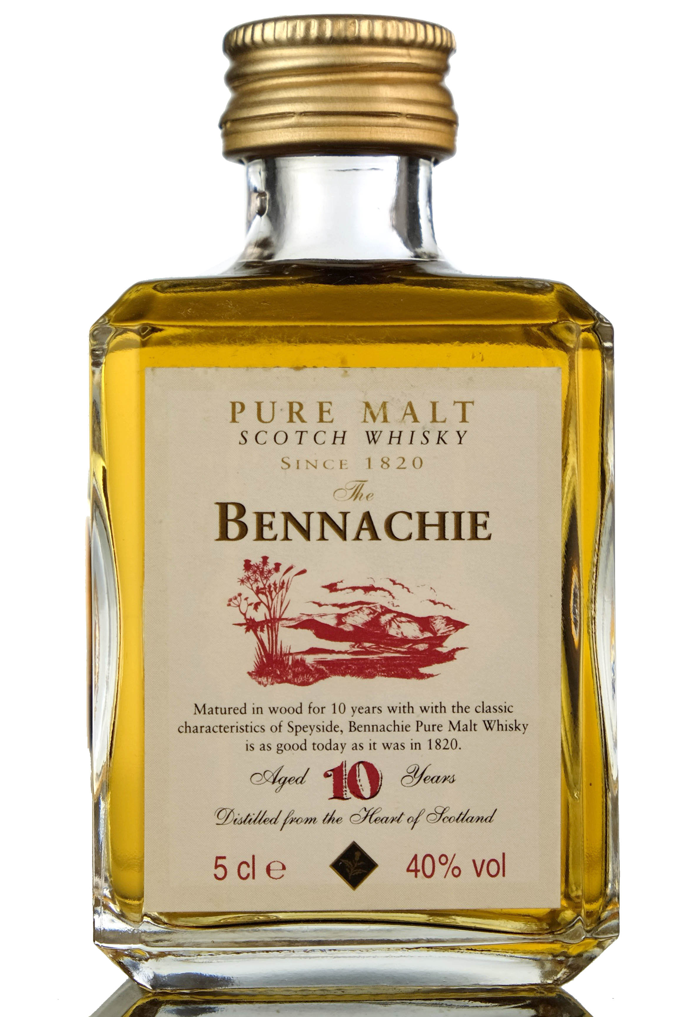 Bennachie 10 Year Old Miniature