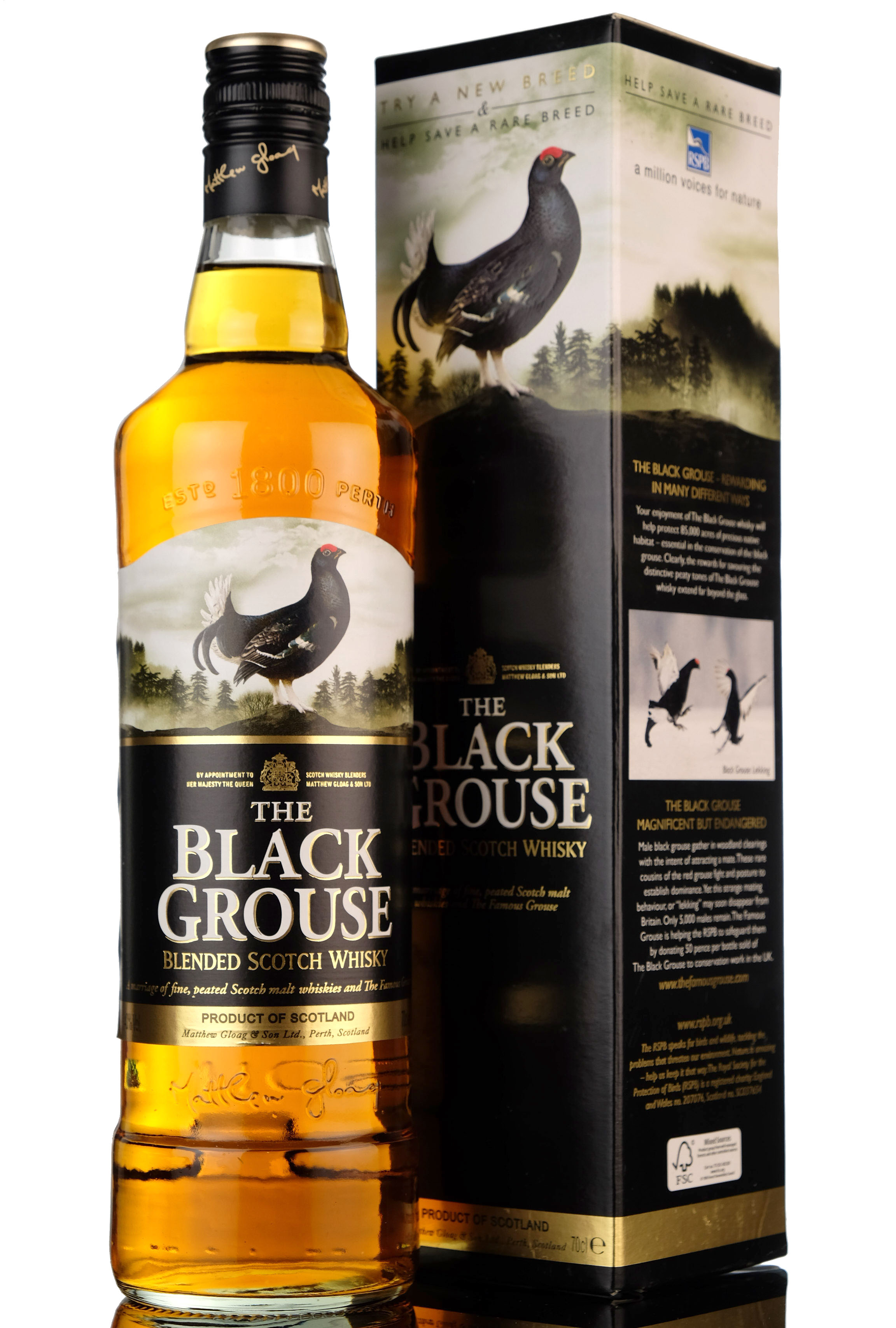 Black Grouse