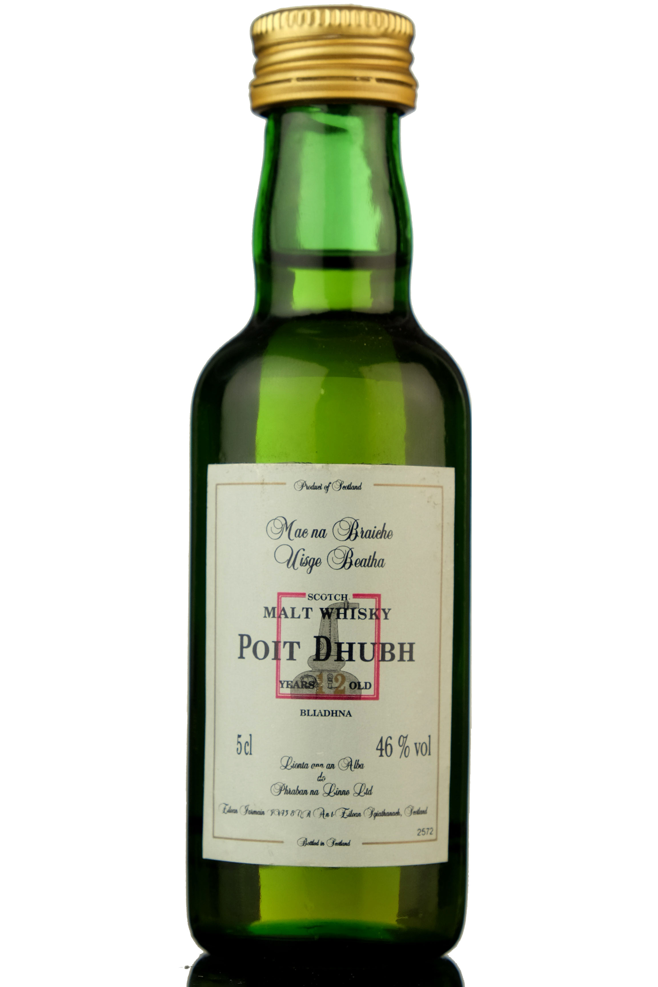 Poit Dhubh 12 Year Old Miniature