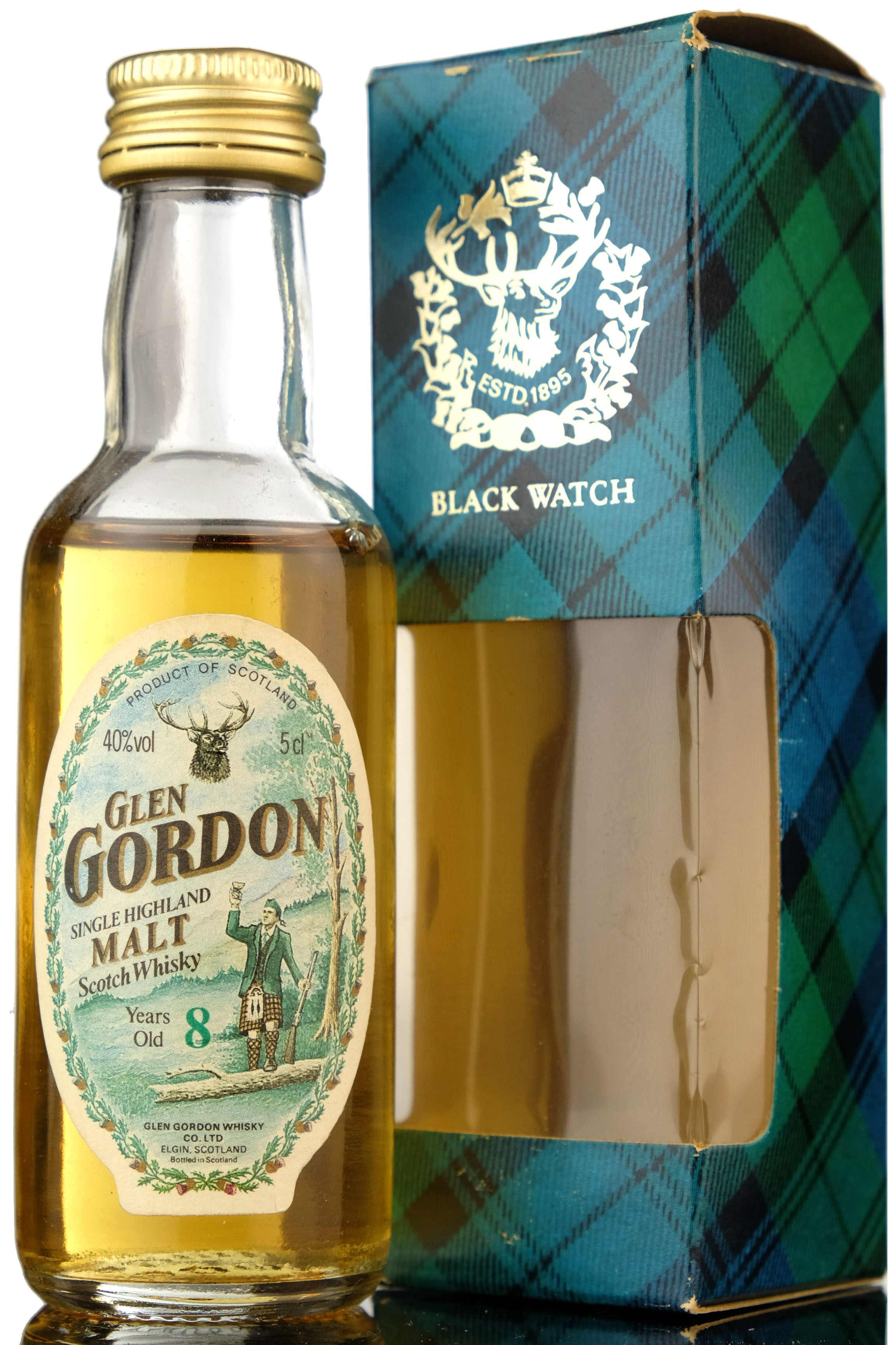 Glen Gordon 8 Year Old Miniature