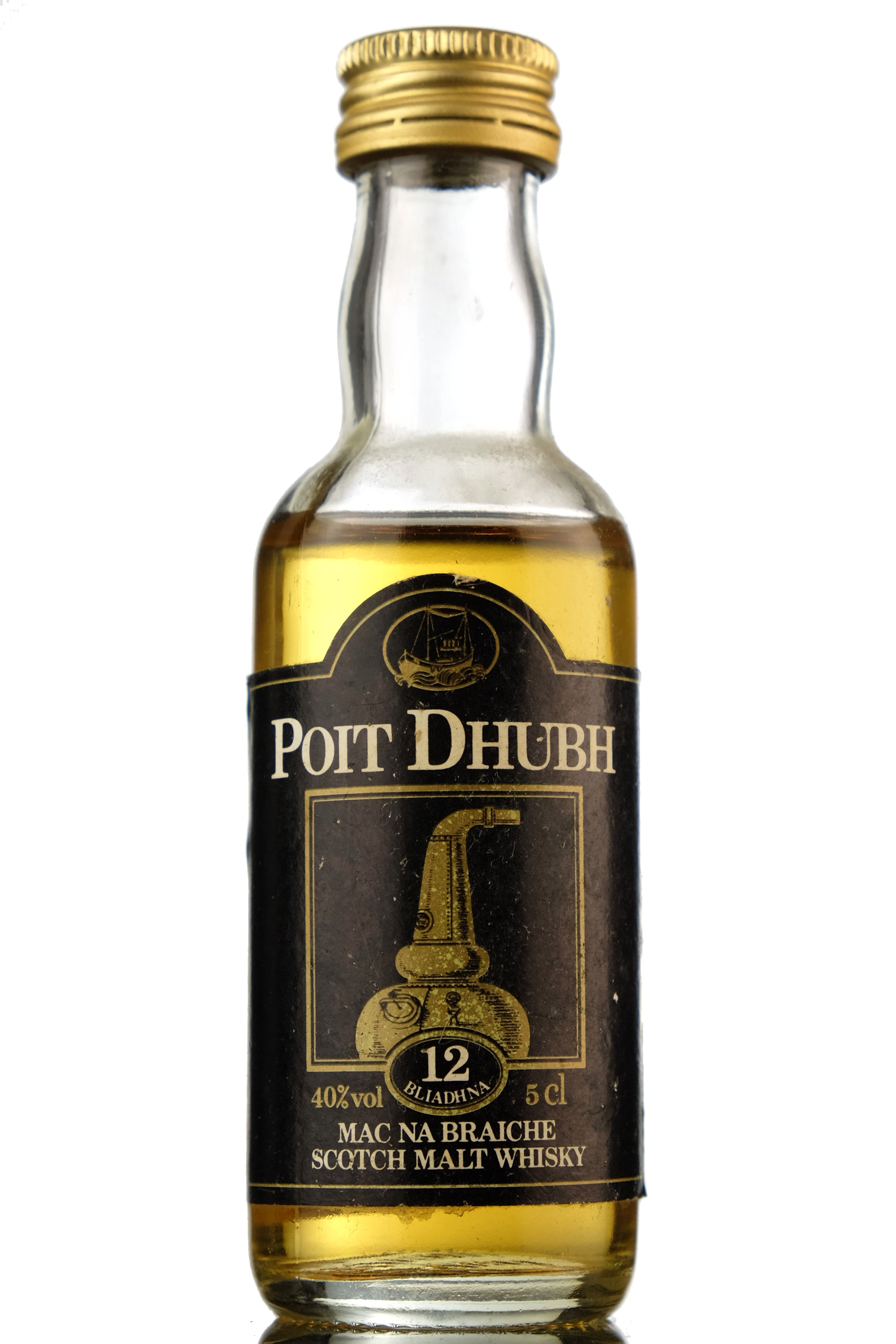 Poit Dhubh 12 Year Old Miniature