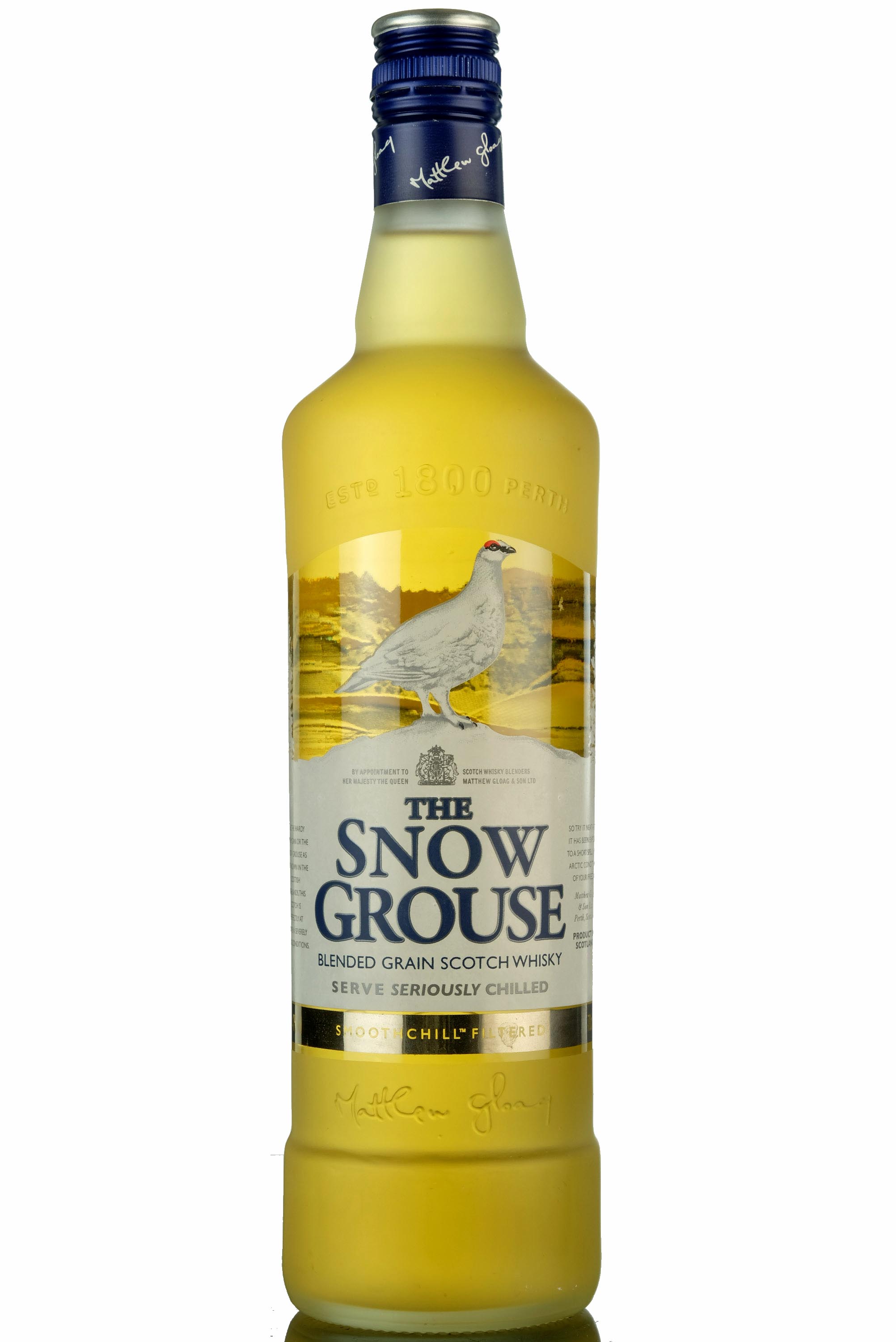 Snow Grouse